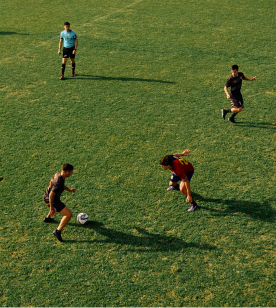 Cancha del predio